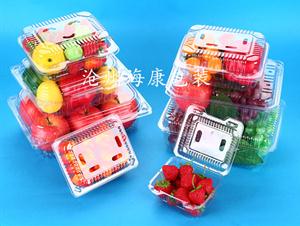 水果盒(水果盒,塑料果蔬盒,水果吸塑盒)